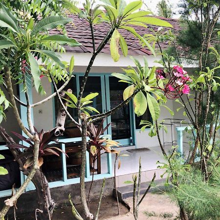 Indigenous Bungalow Gili Trawangan Exteriér fotografie